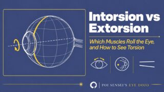 Intorsion vs extorsion: which muscles roll the eye, and how to see torsion. A line drawing of an eyeball rolling around its visual axis, with icons for the 12 o'clock mark, the fundus and the double Maddox rod
