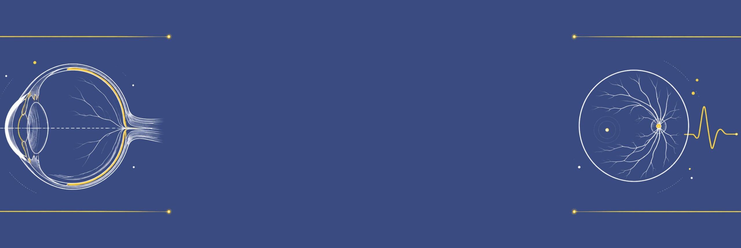 Header banner: line drawings of an eyeball cross-section and a fundus with an ERG trace on an indigo background
